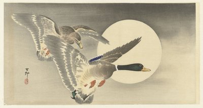 Due anatre alla luna piena da Ohara Koson