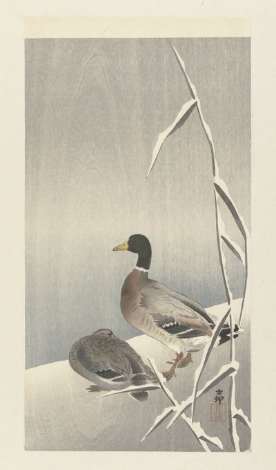 Due anatre su canne innevate da Ohara Koson