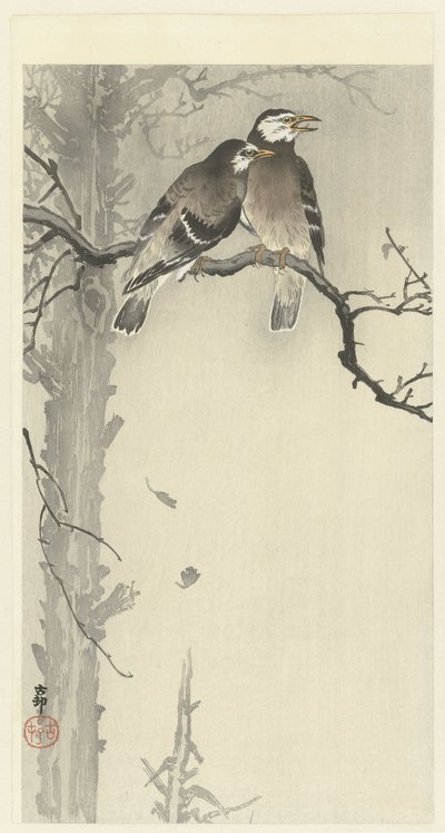Due storni grigi da Ohara Koson