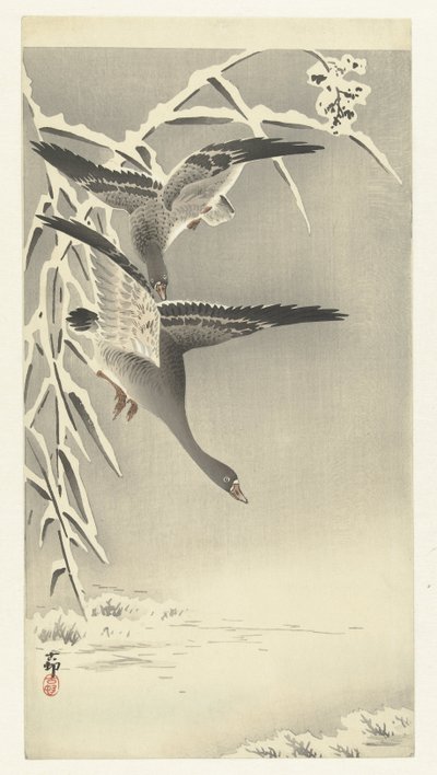 Due oche delle nevi in un paesaggio innevato da Ohara Koson