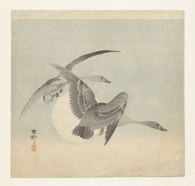 Due oche lombardelle in volo da Ohara Koson