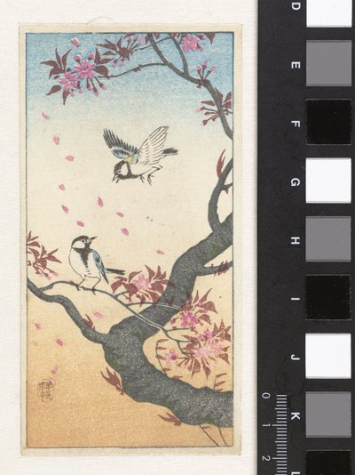 Due cince su un albero in fiore da Ohara Koson