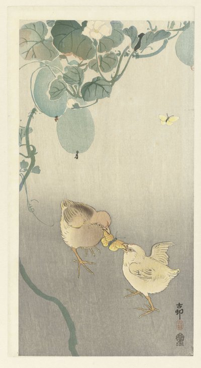 Due pulcini che lottano per una farfalla da Ohara Koson