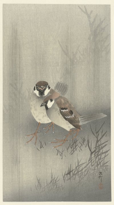 Due passeri nella pioggia da Ohara Koson