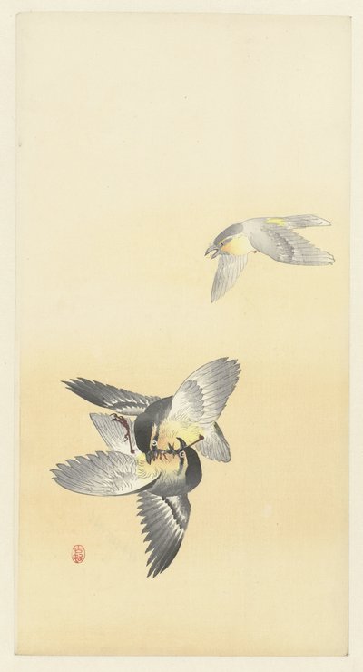 Due uccelli che combattono da Ohara Koson
