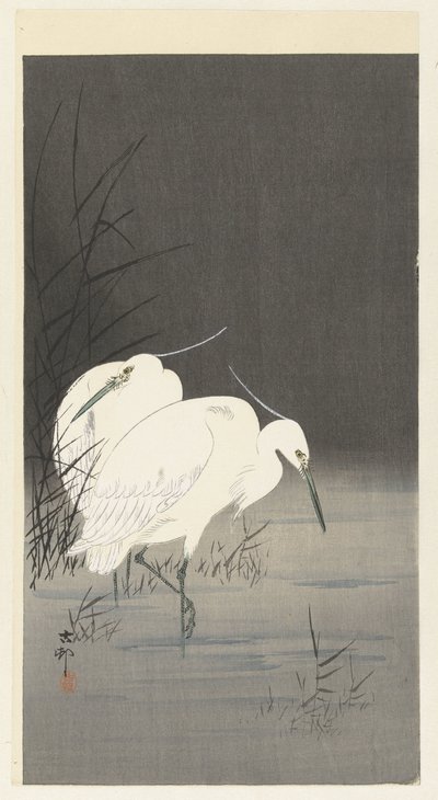 Due aironi argentati tra le canne da Ohara Koson