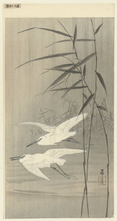 Due aironi argentati in volo da Ohara Koson