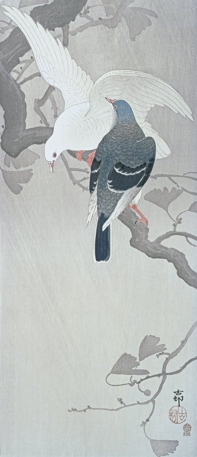 Due colombe sotto la pioggia su un ramo di un albero di Ginko da Ohara Koson
