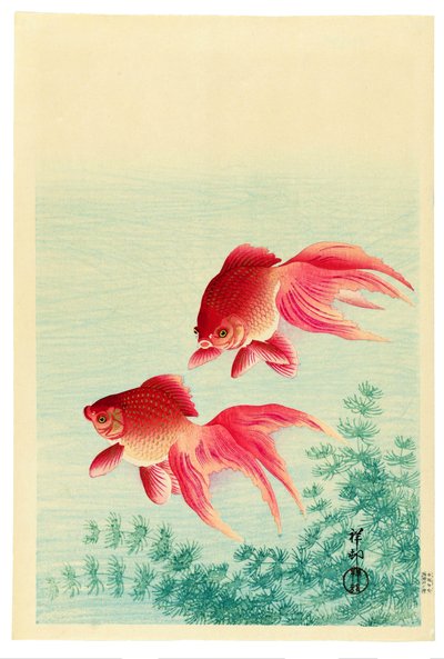Due pesci rossi a coda di velo da Ohara Koson