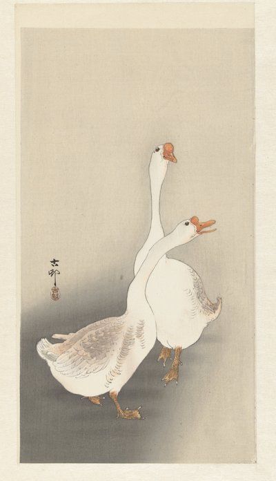 Due oche da Ohara Koson