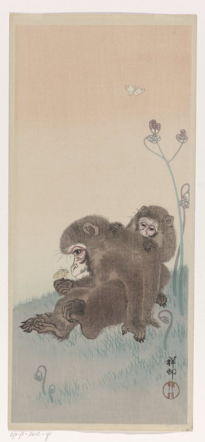 Due scimmie con una farfalla, c.1900-45 da Ohara Koson