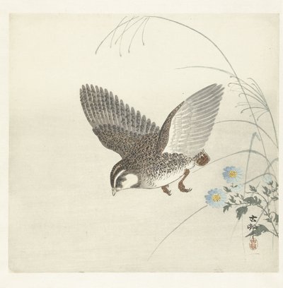 Quaglia volante da Ohara Koson