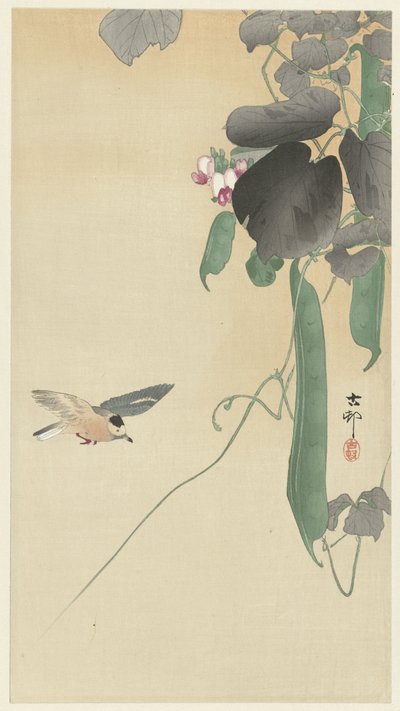 Uccello vicino a una pianta di fagioli in fiore da Ohara Koson