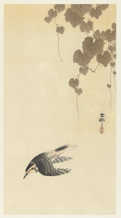 Uccello in volo discendente da Ohara Koson
