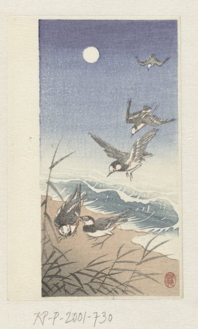 Uccelli alla luna piena da Ohara Koson