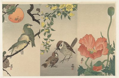 Uccelli e piante da Ohara Koson