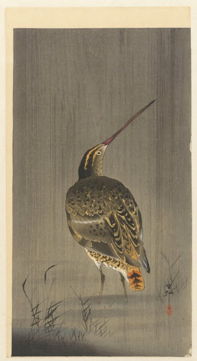 Beccaccino sotto la pioggia da Ohara Koson
