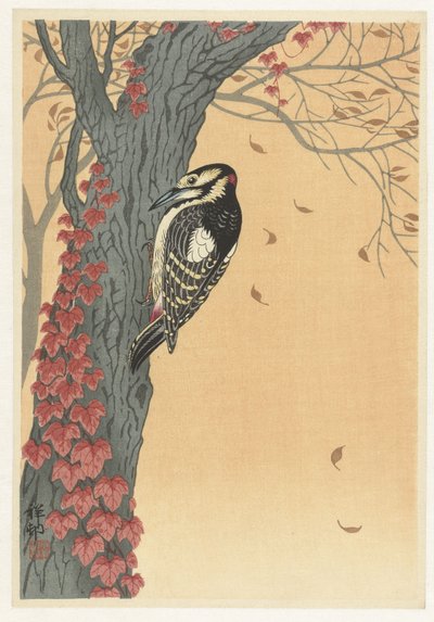 Picchio su un albero con edera rossa da Ohara Koson