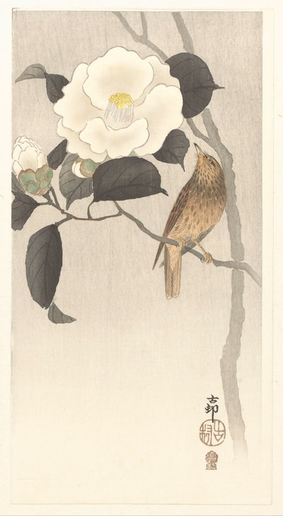 Uccello canoro e camelia in fiore da Ohara Koson