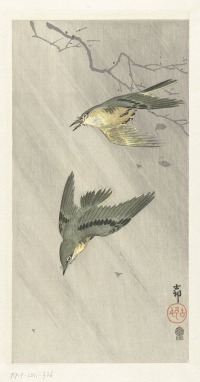 Uccelli canori sotto la pioggia da Ohara Koson