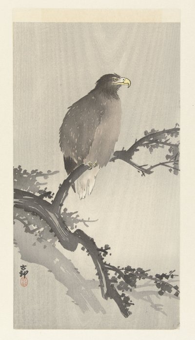 Aquila di mare su un ramo da Ohara Koson
