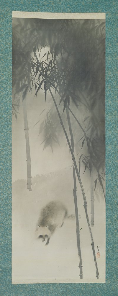 Vecchio cane procione (tanuki) in un fitto boschetto di bambù, inizio XX secolo (inchiostro su seta) da Okoku Konoshima