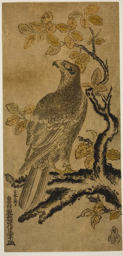 Un falco su un albero di kiri da Okumura Masanobu