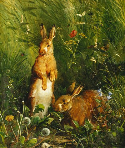 Lepri, 1878 da Olaf August Hermansen