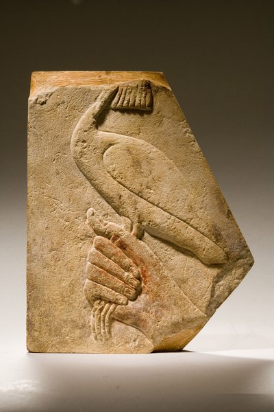 Frammento di rilievo di un uccello Akh (calcare) da Old Kingdom Egyptian