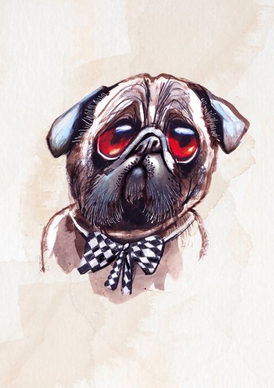 Carlino malinconico da Olga Skomorokhova