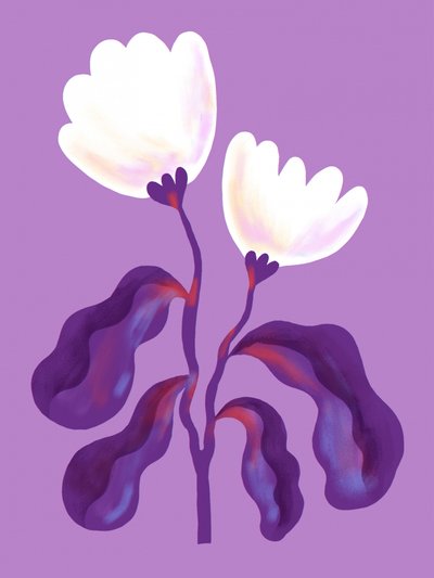 Fiori di lavanda moderni da Olga Skomorokhova