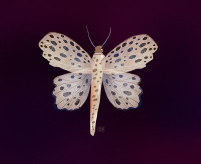  da Olga Skomorokhova