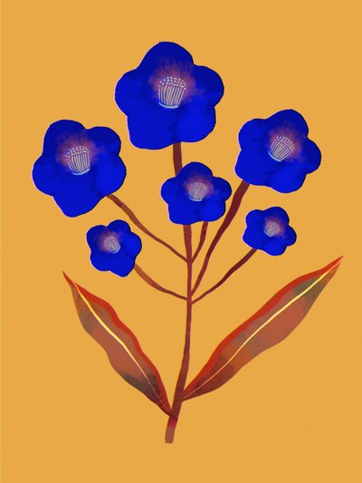 Fiori blu vivaci da Olga Skomorokhova