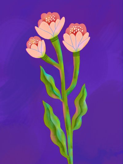Trio floreale dai colori vivaci da Olga Skomorokhova