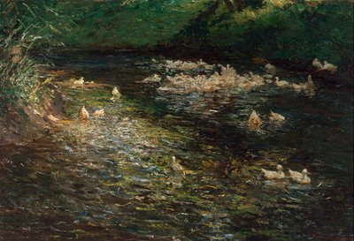 Stagno delle anatre da Olga Wisinger Florian