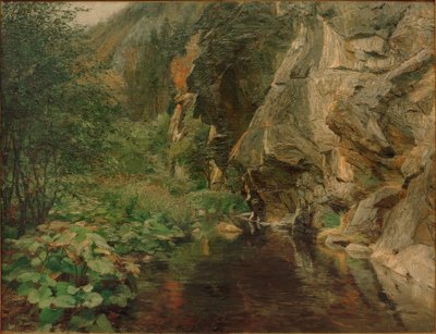 Gola rocciosa da Olga Wisinger Florian