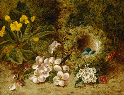 Fiori di Melo, una Primula e un Nido di Uccelli su una Riva Muschiosa da Oliver Clare