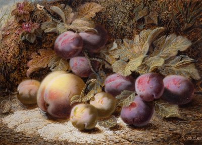 Natura morta con pesca e prugne da Oliver Clare