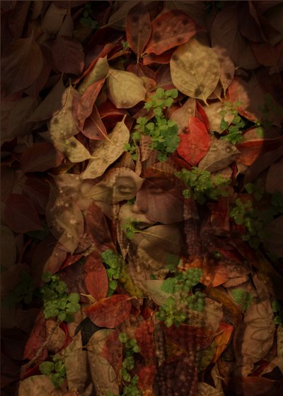 Regina di foglie, 2025 (digital mixed media da Olivia Gozzano