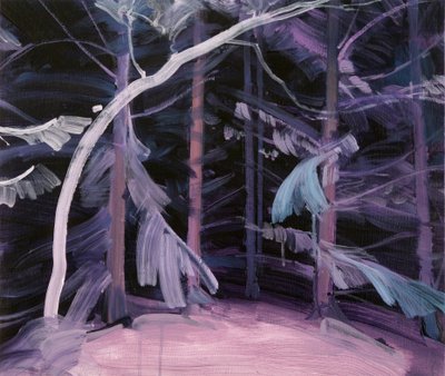 Foresta-nera 2 da Olivier Morel
