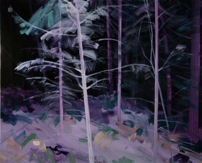 Foresta nera 8 da Olivier Morel