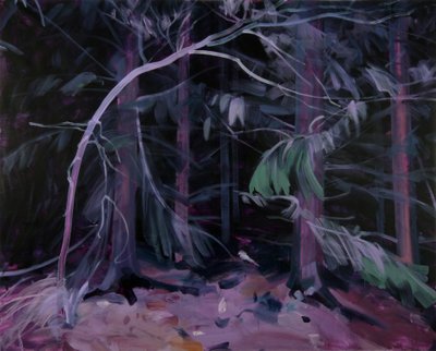 Foresta-nera 9 da Olivier Morel