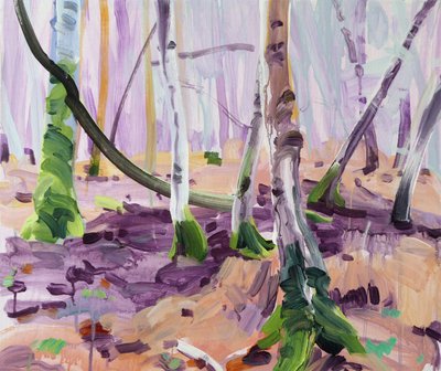 Foresta 14 da Olivier Morel