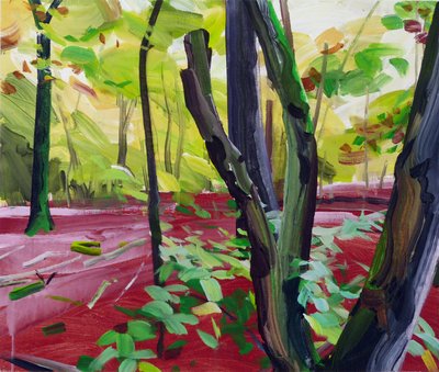Foresta 16 da Olivier Morel
