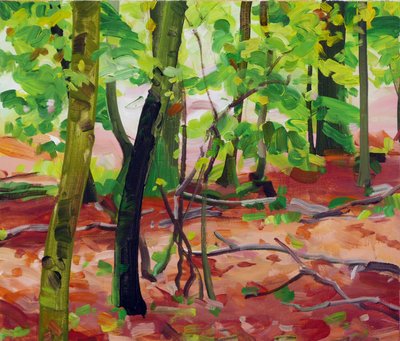 Foresta 17 da Olivier Morel