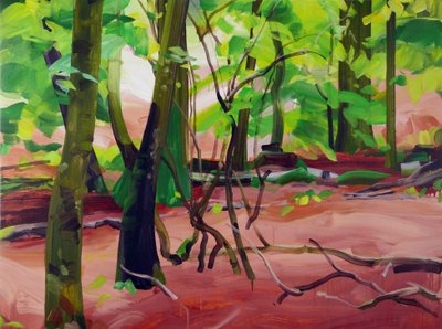 Foresta 20 da Olivier Morel