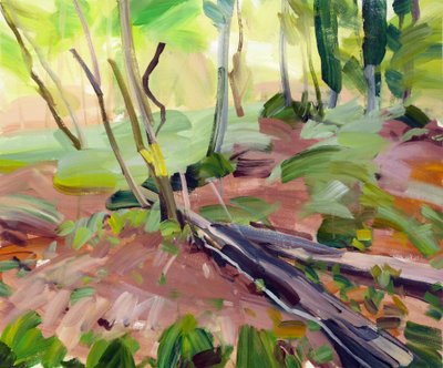 Foresta 24 da Olivier Morel