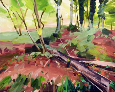 Foresta 25 da Olivier Morel