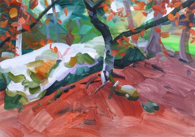 Foresta 31 da Olivier Morel