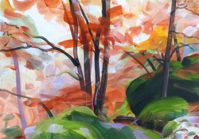 Foresta 34 da Olivier Morel